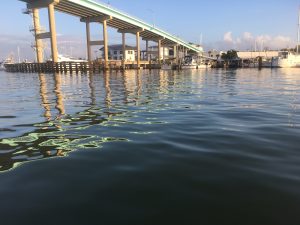 Matanzas Bay Bridge - image