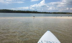 paddle board bunche beach - image