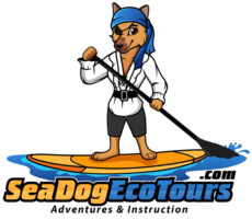 sea dog on sup - image