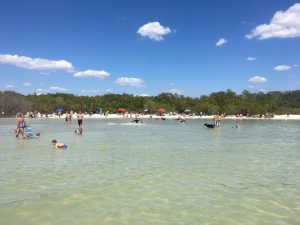dog beach estero bay - image