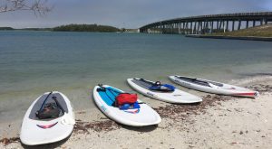 our paddleboards - image