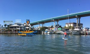 Paddle Board Tours at Matanzas - image