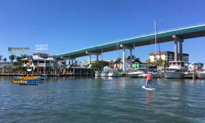Paddleboarding Sea Dog Eco Tours - image