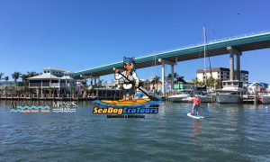 sea dog eco tours at Matanzas Inn - image