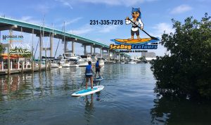addle board fort myers beach matanzas ass - mage