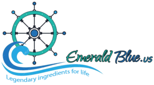 emerald blue logo - image
