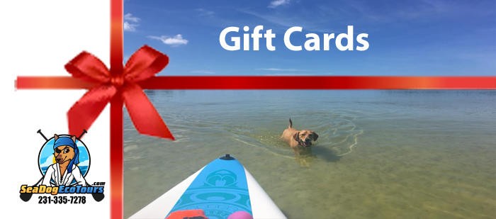 sea dog eco tours gift cards - image