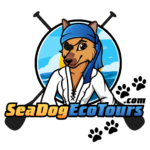 sea dog eco tours - logo