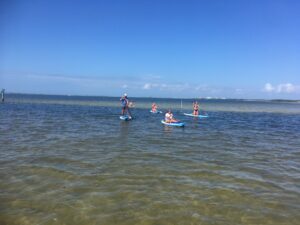 explore the bay paddle boarding - image