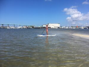 paddle boarding the inner harbor - image