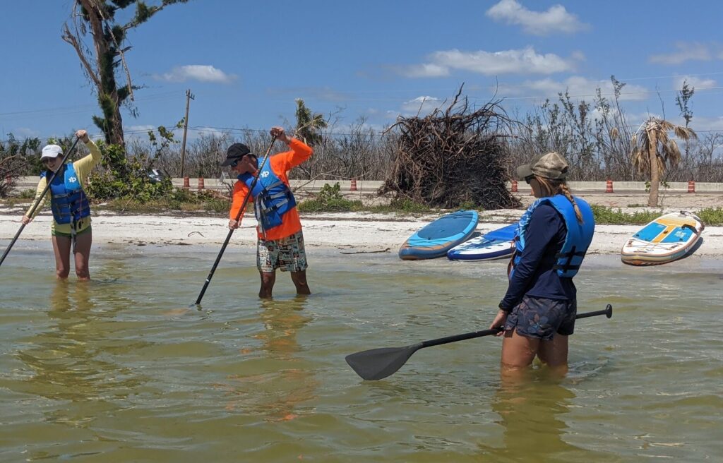 paddle board certification class on the beach