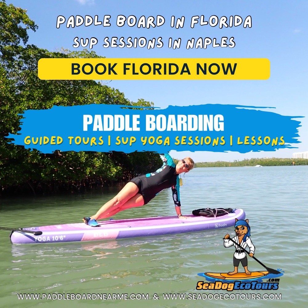 Book Paddle Boarding with Jodi in Naples and Marco