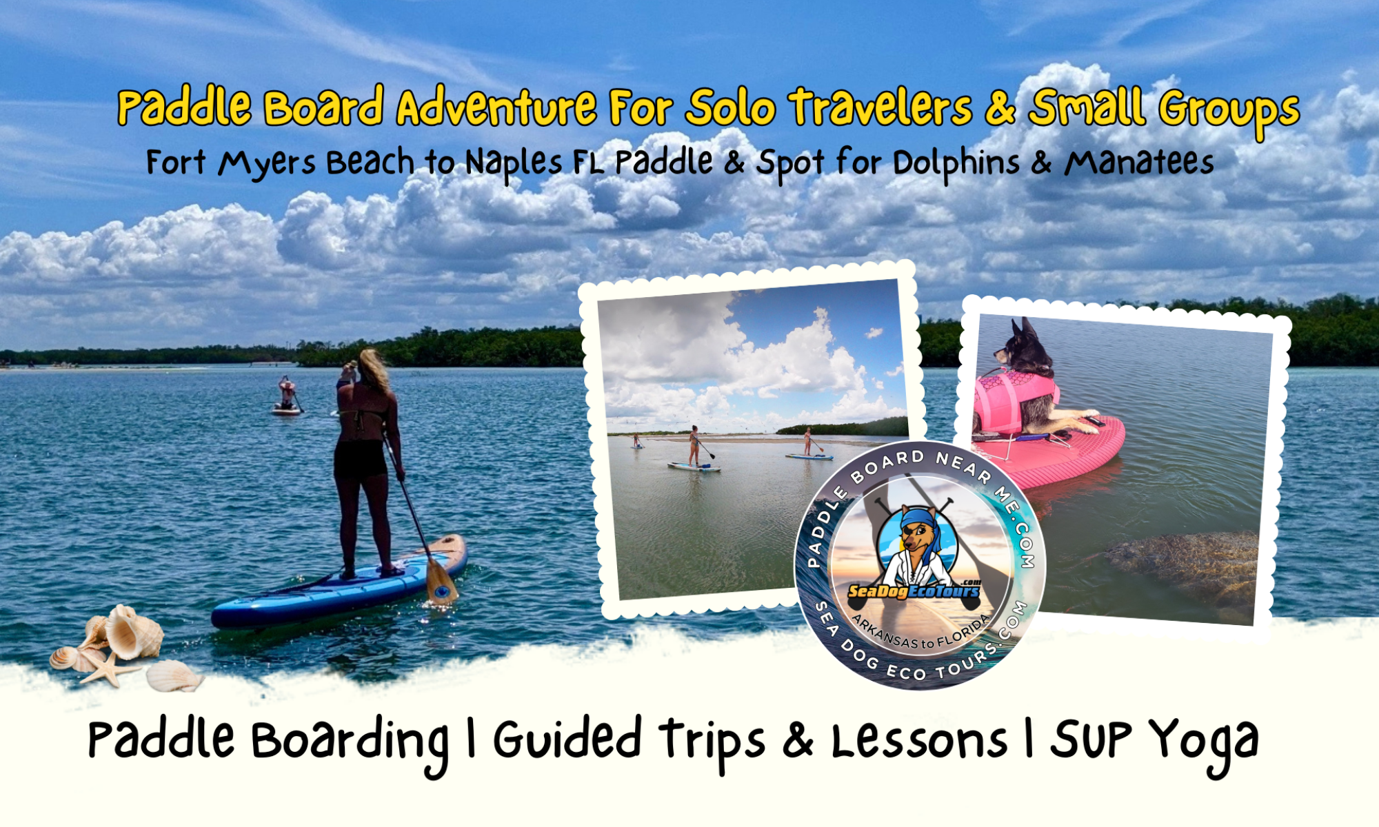 Header image of paddle boarding lessons and sup sessions looking for dolphins and manatees