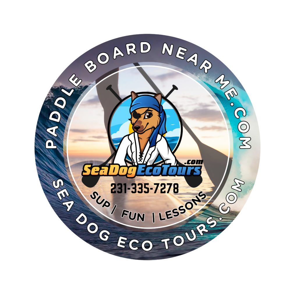 Sea dog eco tours logo